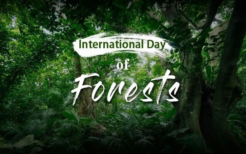 21 मार्च जागतिक वनदिनाच्या निमित्ताने वनसंवर्धन करूया, पर्यावरणाचा समतोल राखूया, पृथ्वीला वाचवूया . पर्यावरण तज्ञ डॉ. सुरेंद्रसिंग पाटील