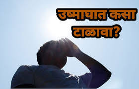 उष्माघातापासून दूर राहण्यासाठी स्वत:मध्ये करा ‘हे’ पाच बदल…..