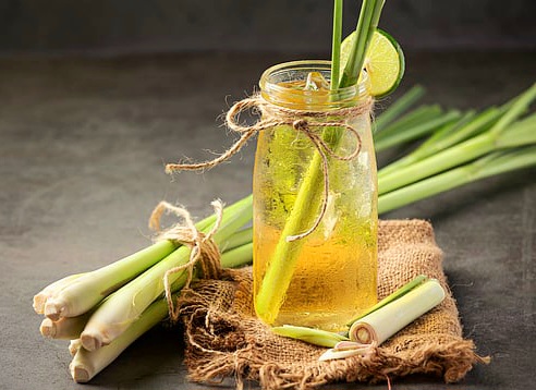 “पावसाळ्याचे साथीदार – गवती चहा आणि घरगुती रेसिपी”